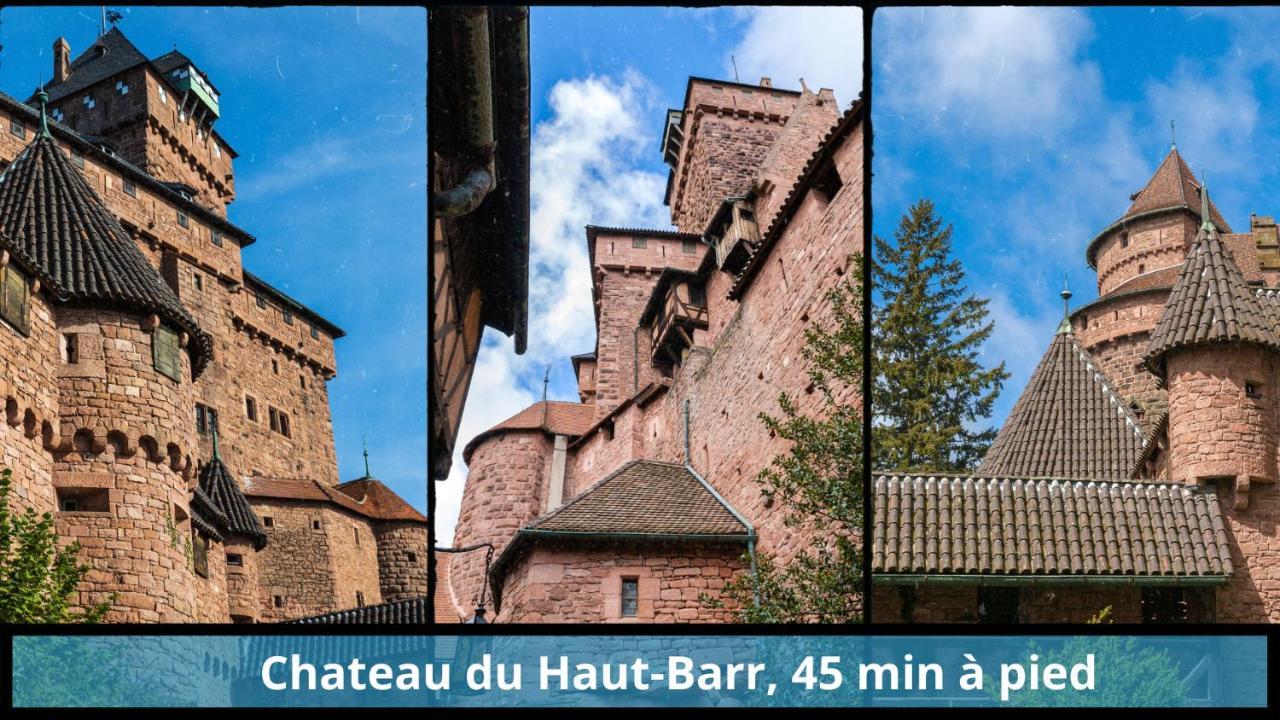 Appartement L'imperial - Centre - Parking - Fibre Thd - 5 Pers
